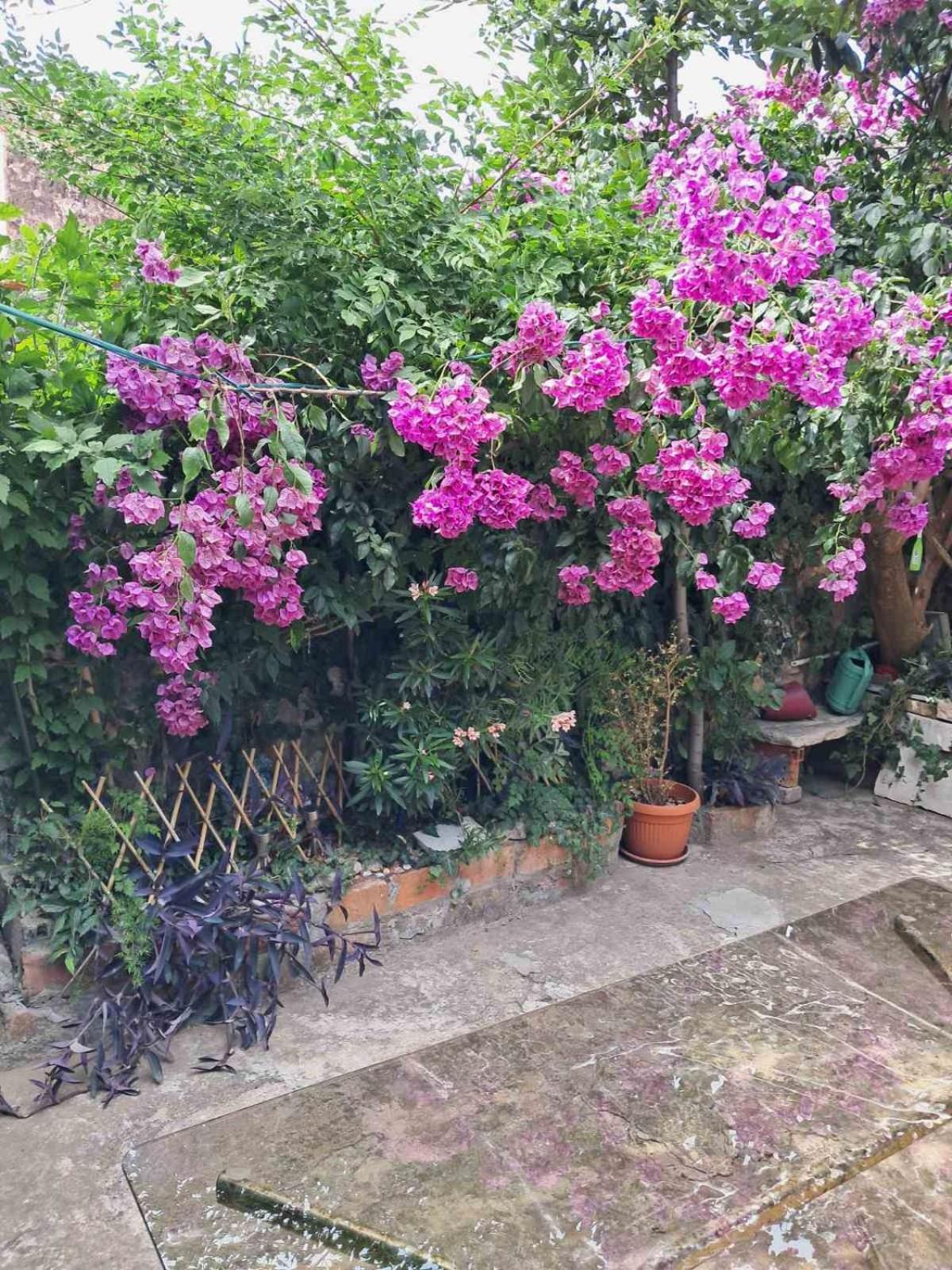 Old Town Green Oasis House Ragusa Esterno foto