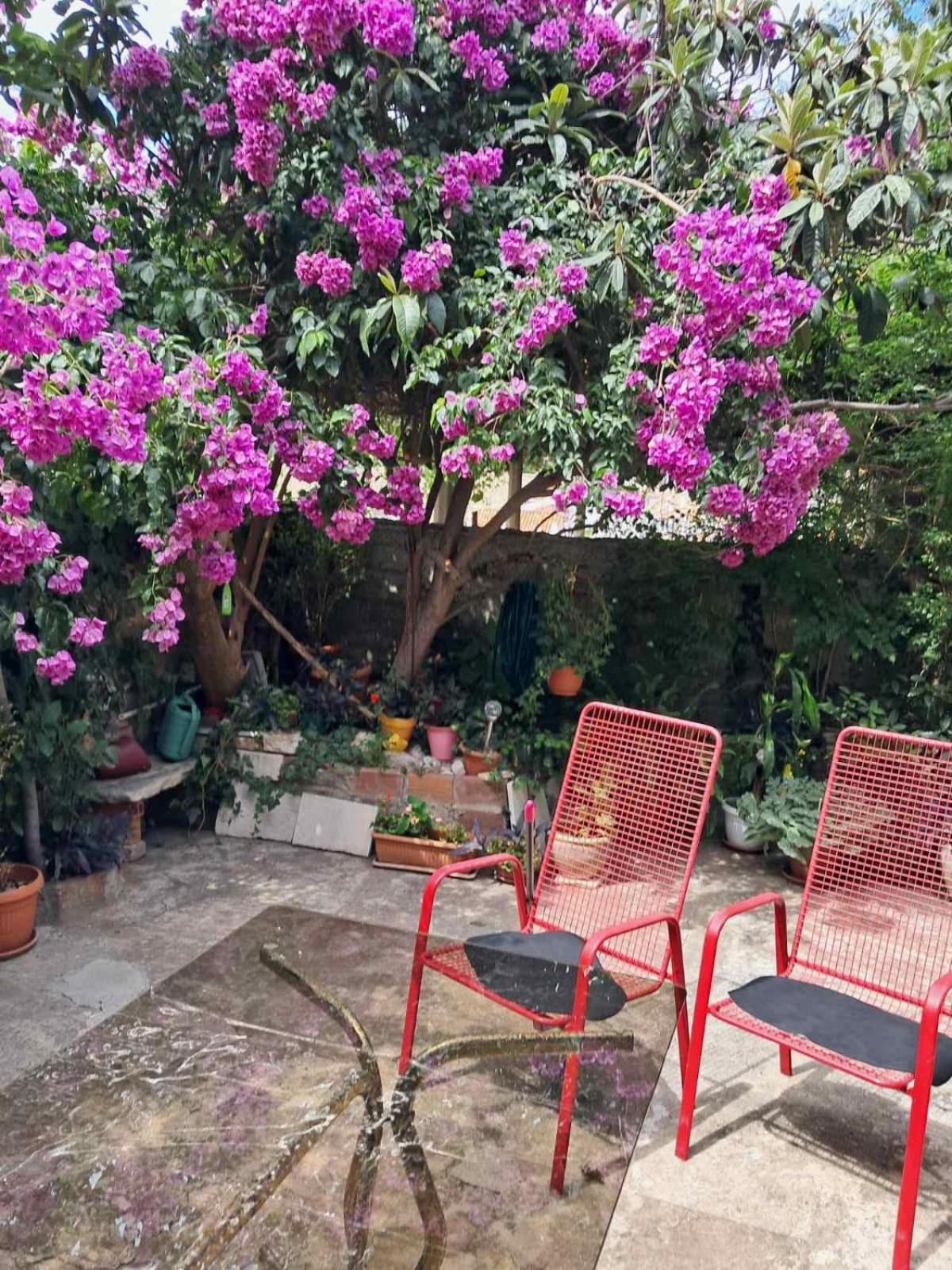 Old Town Green Oasis House Ragusa Esterno foto